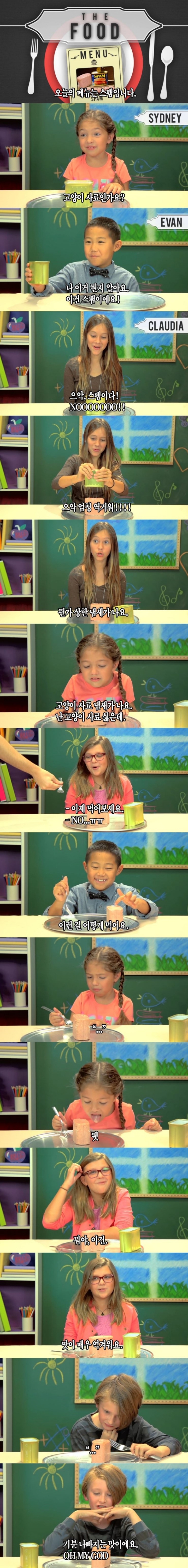 미국에서 스팸이 당하는 취급....jpg | 인스티즈