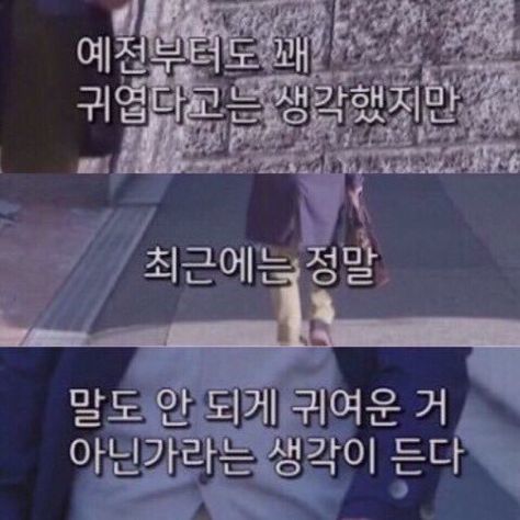 귀여운게 좋은이유 | 인스티즈