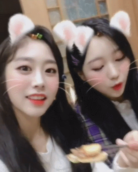 러블리즈 지수의 독특한 그림이 있는 싸인 앨범 | 인스티즈