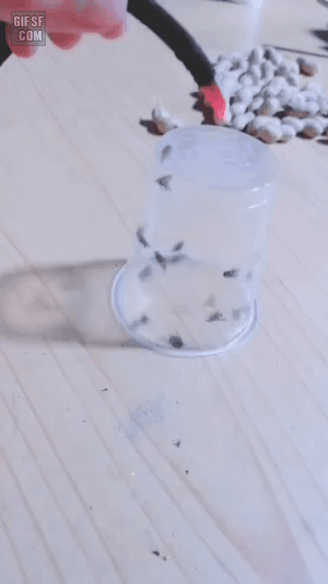 화생방 | 인스티즈