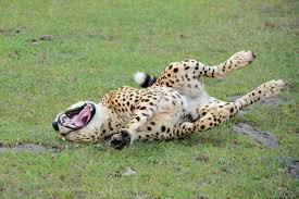 태풍이 오고있지만 제가 있으니 걱정마십쇼 | 인스티즈