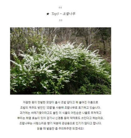 특이한 식물 이름 | 인스티즈