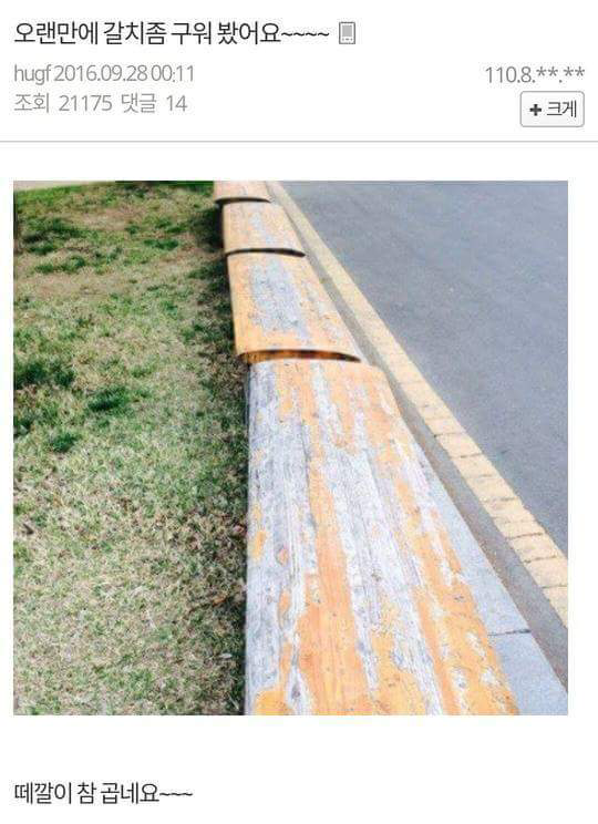 허언증 갤러리 올타임 레전드 모음.jpg | 인스티즈