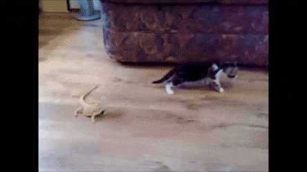 지나가다 본 여자 반응 | 인스티즈