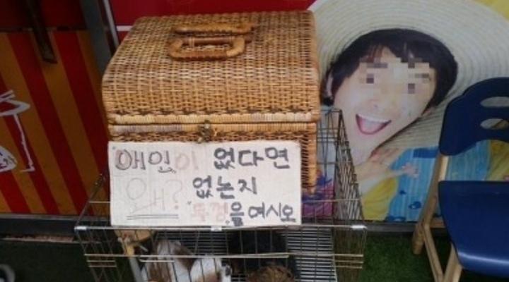 애인이 왜 없는지 알려주는 상자 | 인스티즈