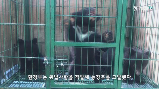 반달가슴곰을 먹는 미친 인간들 | 인스티즈