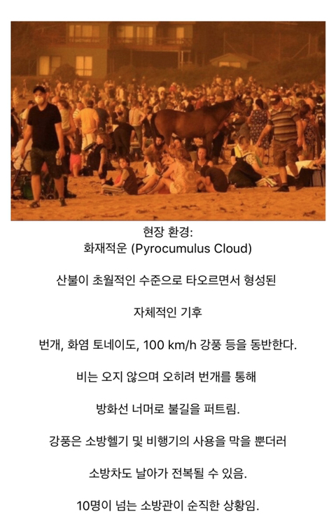 호주 산불이 2달 넘게 지속되는 이유 | 인스티즈