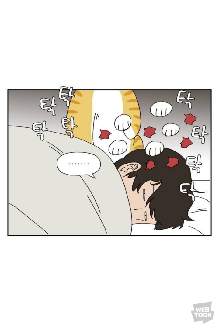 애완동물 키우면 매일 비슷한 시간에 깨는 이유.jpg | 인스티즈