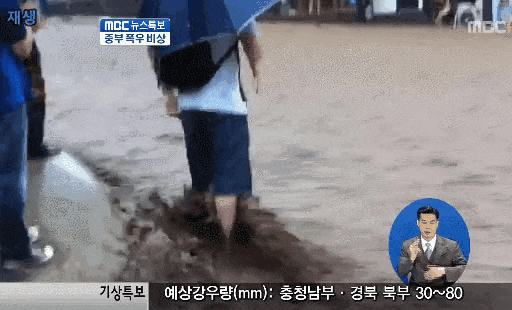 국내 폭우 객기 레전드 | 인스티즈