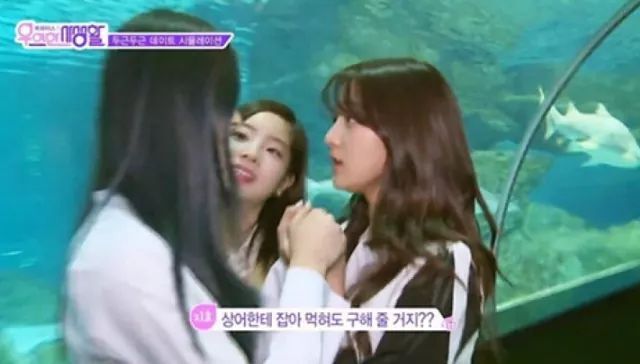 단호박 아이돌 | 인스티즈