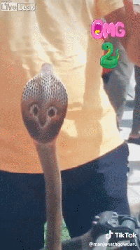 중국도 한수 접어야 하는 인도의 클라스.gif | 인스티즈