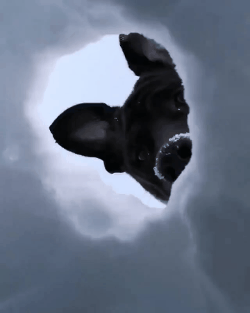 여기 사람있어요! | 인스티즈