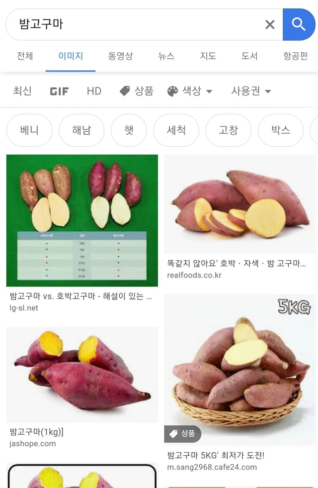 🍠고구마 이미지 검색결과.jpg | 인스티즈