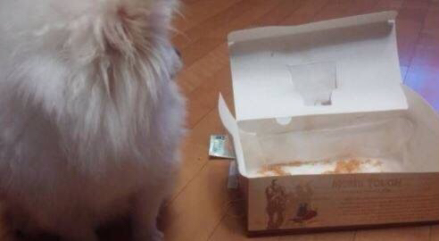 ???: 야야 그거 한입 먹는다고 죽냐 ㅋㅋㅋ | 인스티즈