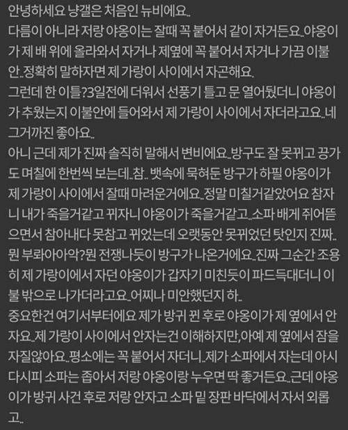 고양이랑 같이 자다가 방구 꼈는데 그 후로 고양이가 저랑 같이 안자요.jpg | 인스티즈