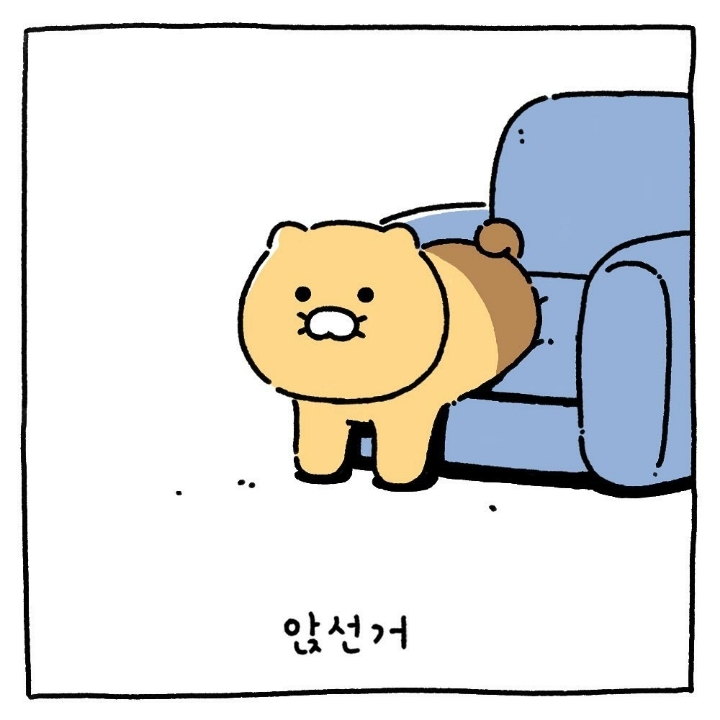 카카오 라이언 & 춘식이 만화 및 짤 | 인스티즈