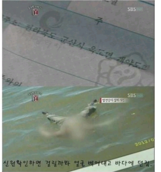 섬노예가 탈출하기 어려운 이유 | 인스티즈