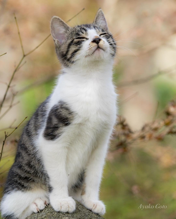 아깽이 특집....jpg | 인스티즈