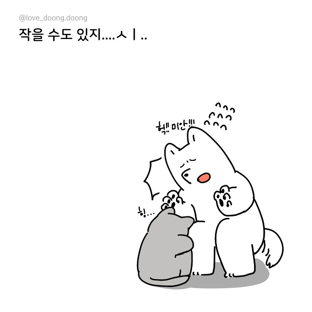 키작은 애들 특징 | 인스티즈