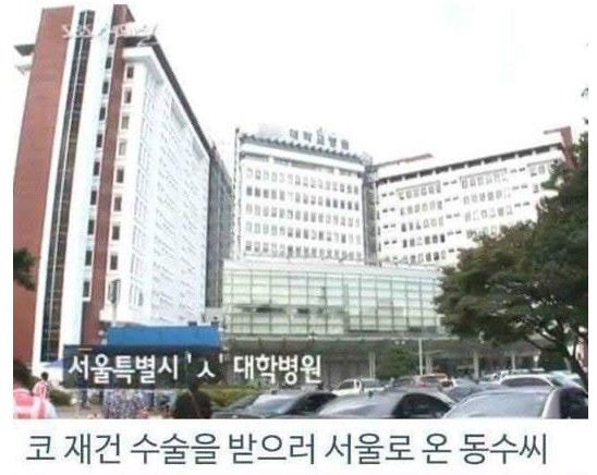 병원 실수로 하루아침에 사지 절단 | 인스티즈