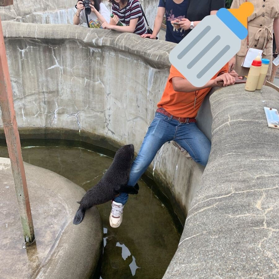 동물원 우리에 빠져서 한쪽 다리가 ㄷㄷ | 인스티즈