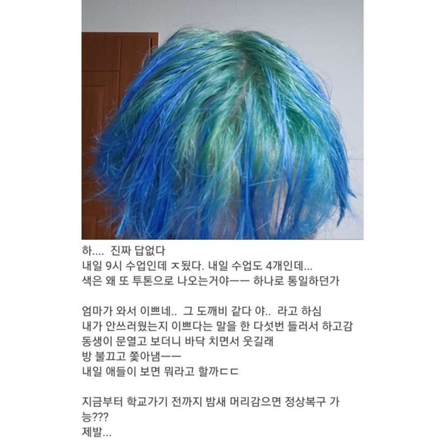 미래인류의 머리색으로 염색한 사람.jpg | 인스티즈