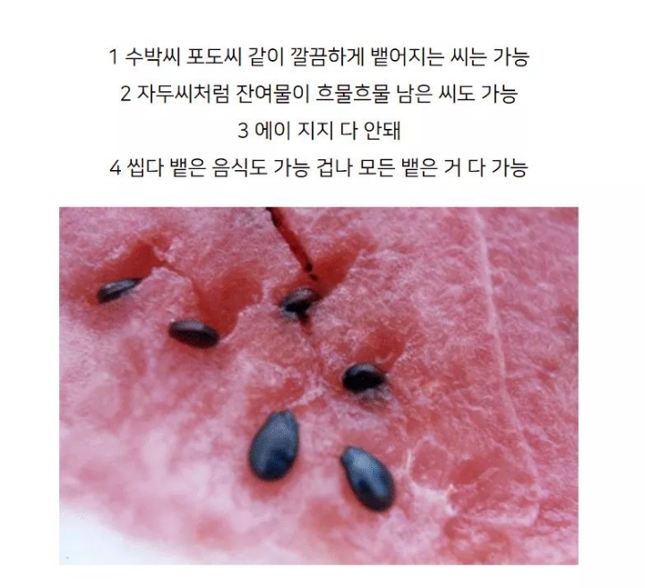 본인기준 애인이 뱉은씨 맨손으로 가능? | 인스티즈