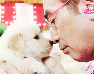 안경낀 사람만 좋아하는(?) 강아지 | 인스티즈