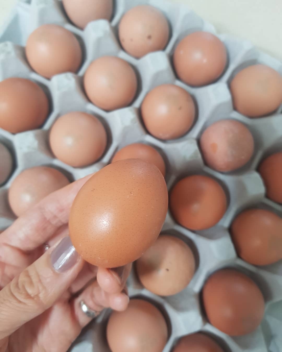 저탄고지 다이어트하면 먹는다는 음식.......jpg | 인스티즈