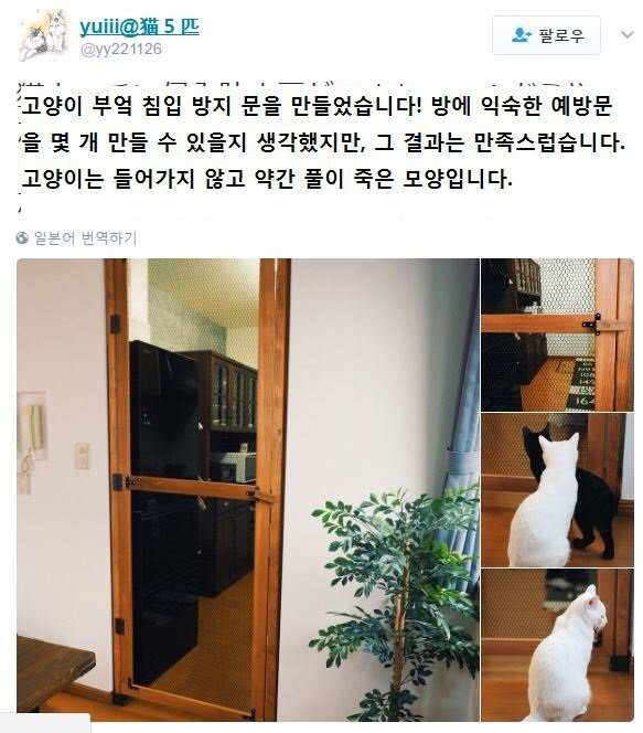 고양이가 못들어오게 문을 개조한 일본인 | 인스티즈