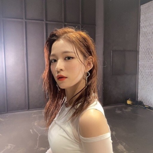 전부 다 예쁘고 매력적인 ㅊㅇ 초성의 여자아이돌들! | 인스티즈