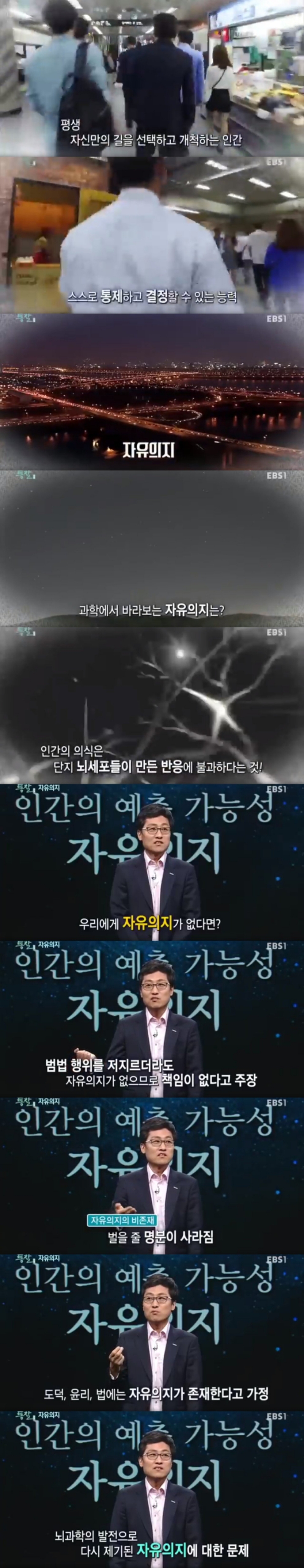 인간에게 자유의지가 없다고 믿은 아인슈타인(뇌과학이 보는 자유의지의 존재 가능성) | 인스티즈