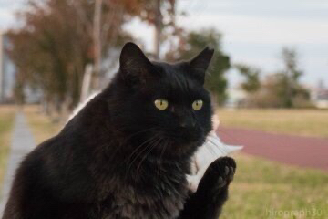 이상한 동물 피규어 모음.jpg | 인스티즈