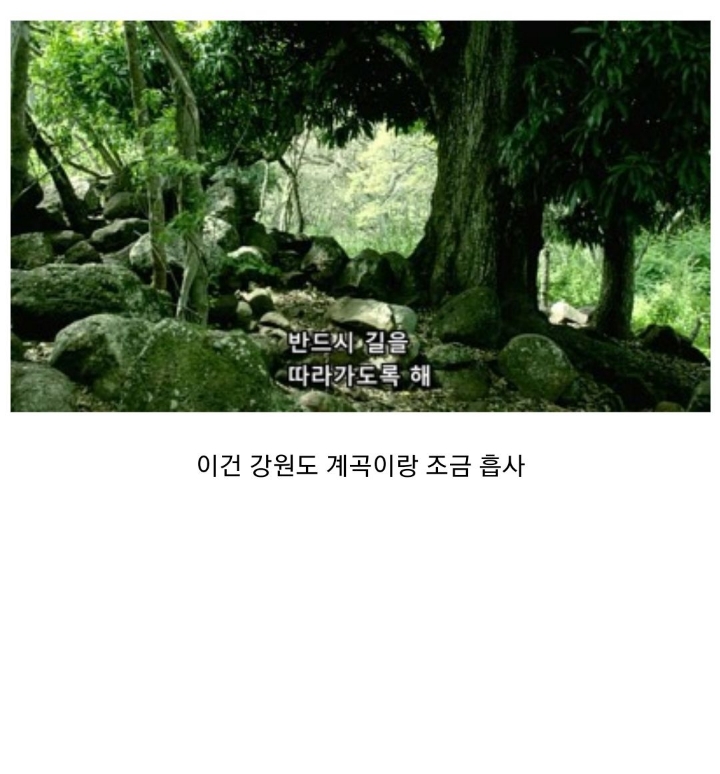 어느 미국 드라마속의 한국.jpg | 인스티즈