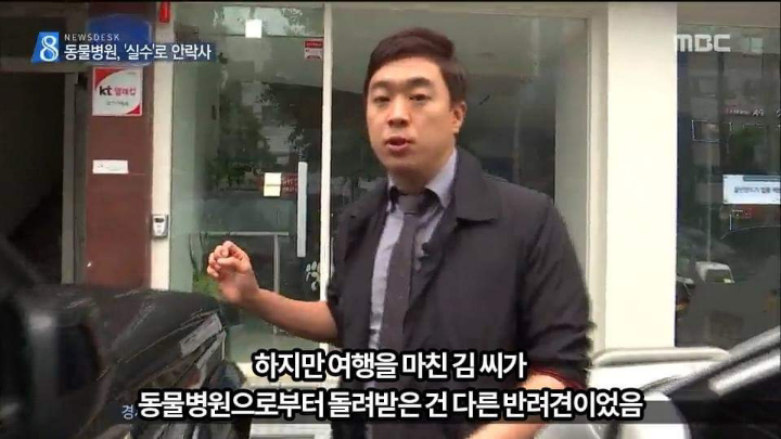 반려견 최악의 사건.jpg | 인스티즈