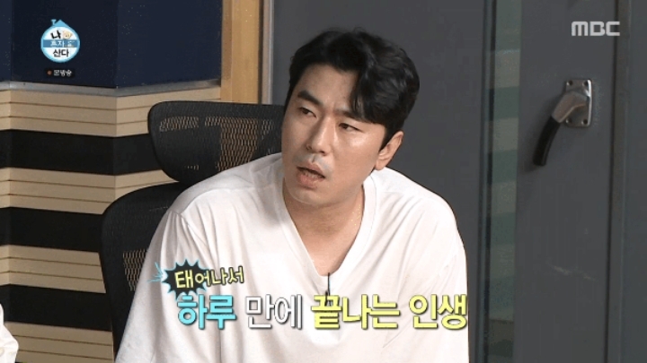 기안84가 기획중인 곤충 소재 만화.jpg | 인스티즈