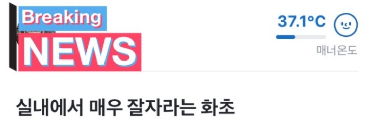 우당탕탕 당근마켓 모음.jpg | 인스티즈