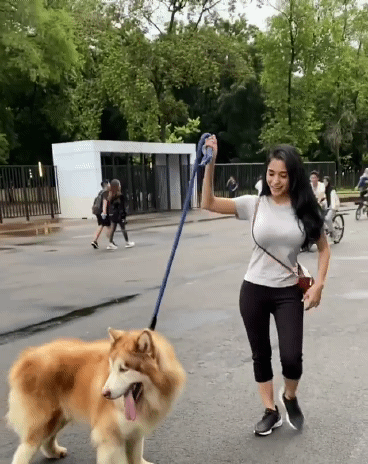 크고 귀여운 강아지 짤.gif | 인스티즈