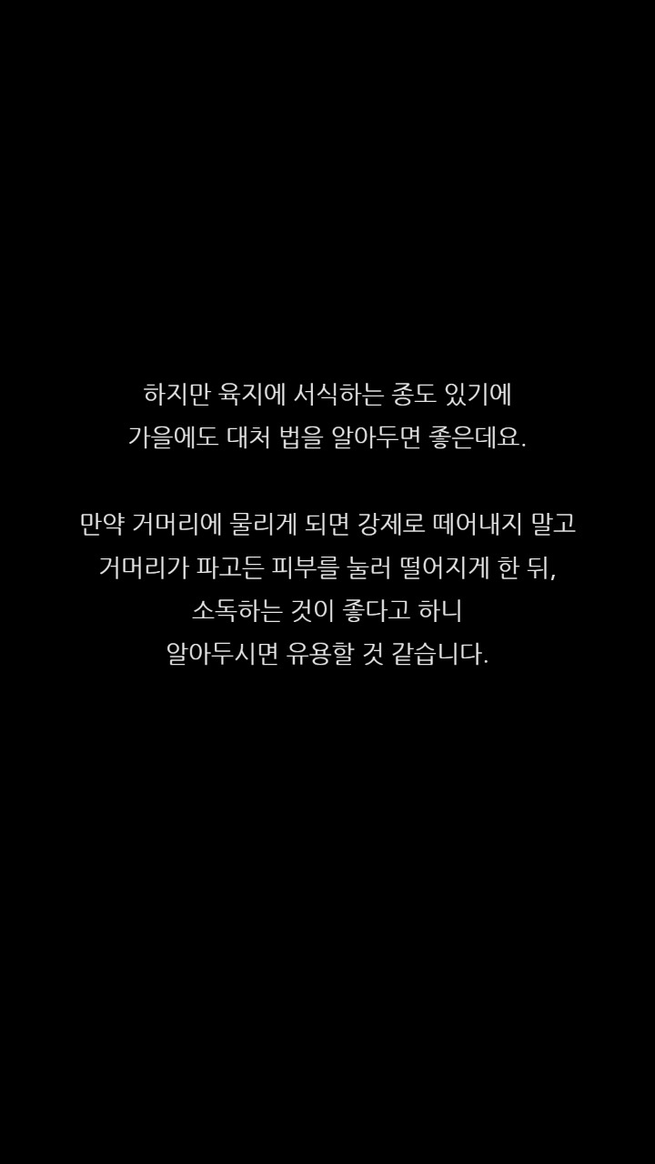 열흘동안 코피가 계속 난 이유 | 인스티즈