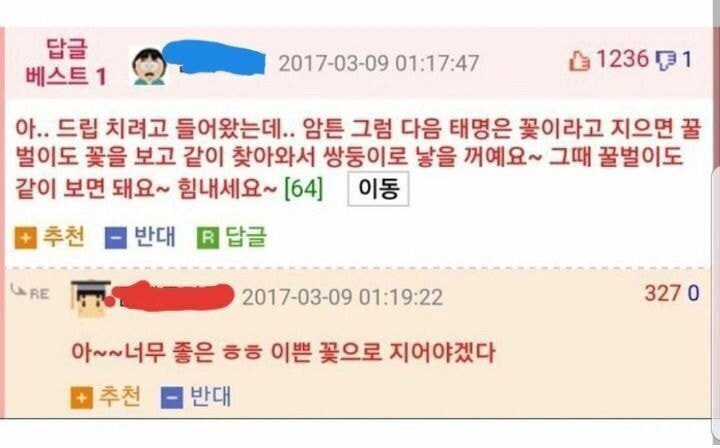 첫 아이가 유산되어버린 웃대인.jpg | 인스티즈