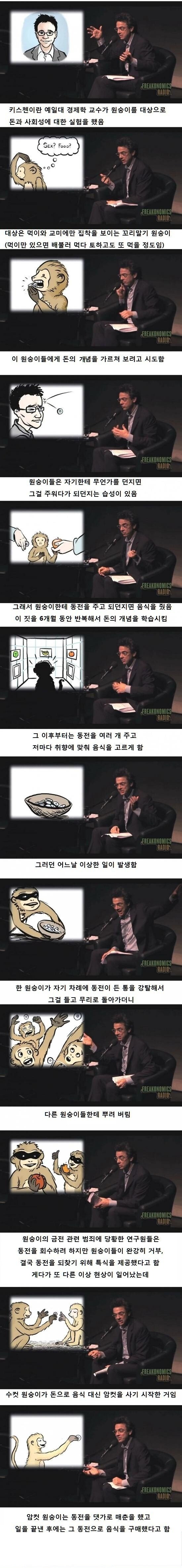 돈의 개념을 알게된 원숭이가 처음 한일.jpg | 인스티즈