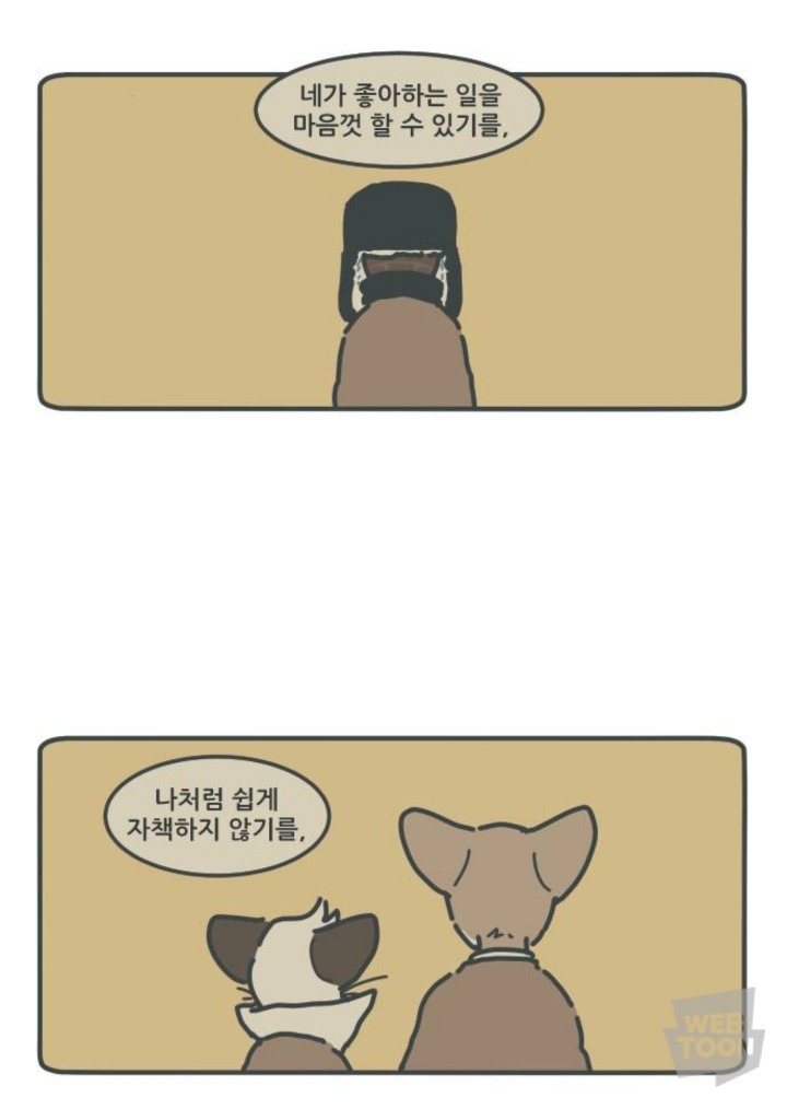 병원에서 죽음을 맞이한 고양이와 마지막을 지키지 못한 주인 | 인스티즈