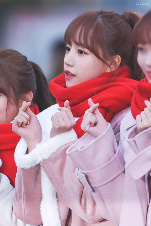 아이즈원 유리보고가세요.jpg | 인스티즈