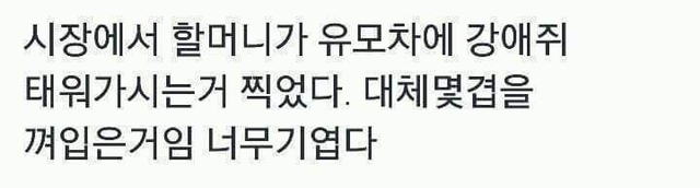 추운날 할머니의 댕댕이 패션 코디 | 인스티즈