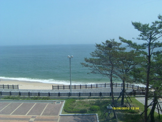 오직 오션뷰만 조지는 아파트.jpg | 인스티즈