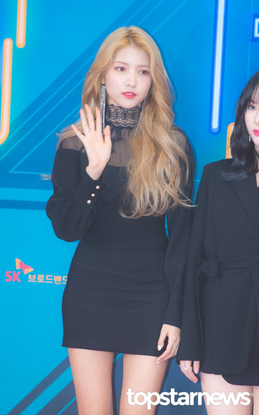 2019년 돼지해를 맞이하는 95년생 연예인.jpg | 인스티즈