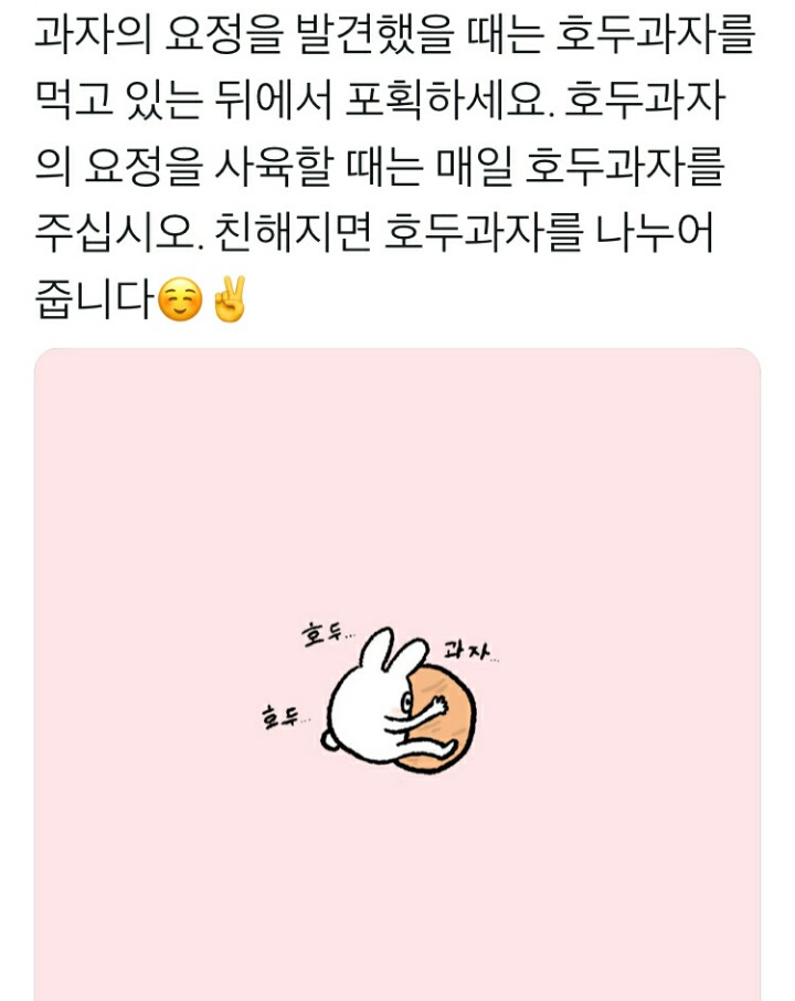 일본인이 평가한 한식 | 인스티즈