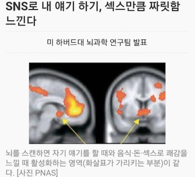 ㅅㅅ하는 방법.jpg | 인스티즈
