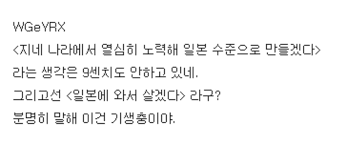 어느 일본인이 생각하는 한국일뽕.jpg | 인스티즈