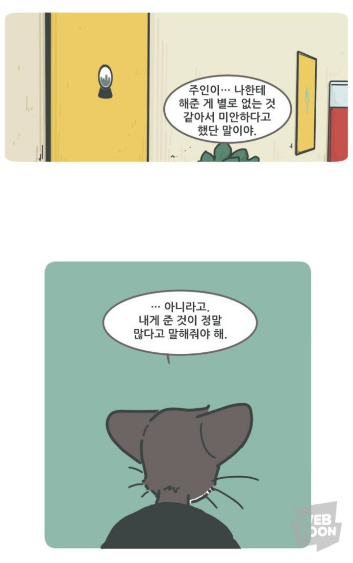 병원에서 죽음을 맞이한 고양이와 마지막을 지키지 못한 주인 | 인스티즈